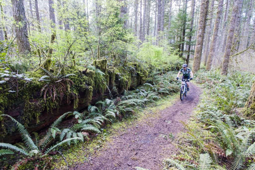 A mountain biker speeds along a trail at Silver Falls State Park. Mountain biking is one of the best things to do at Silver Falls State Park.