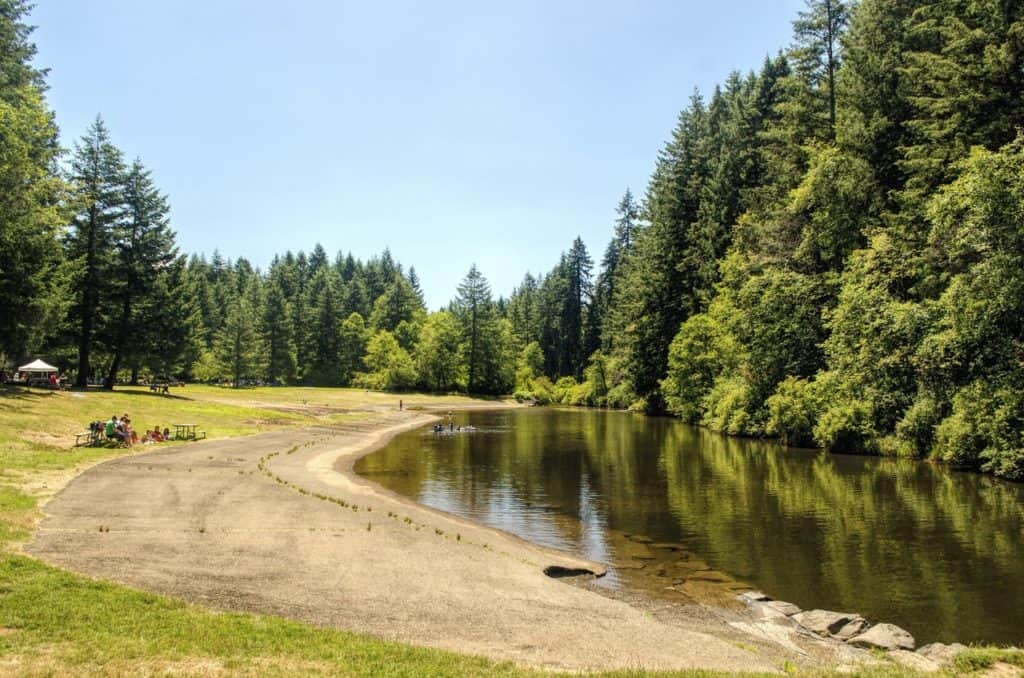 Cool waters invite swimmers at the South Fall Day-Use Area swim zone. Swimming is a fun thing to do at Silver Falls State Park.