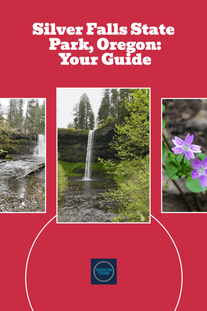 Pinnable collage for Silver Falls State Park