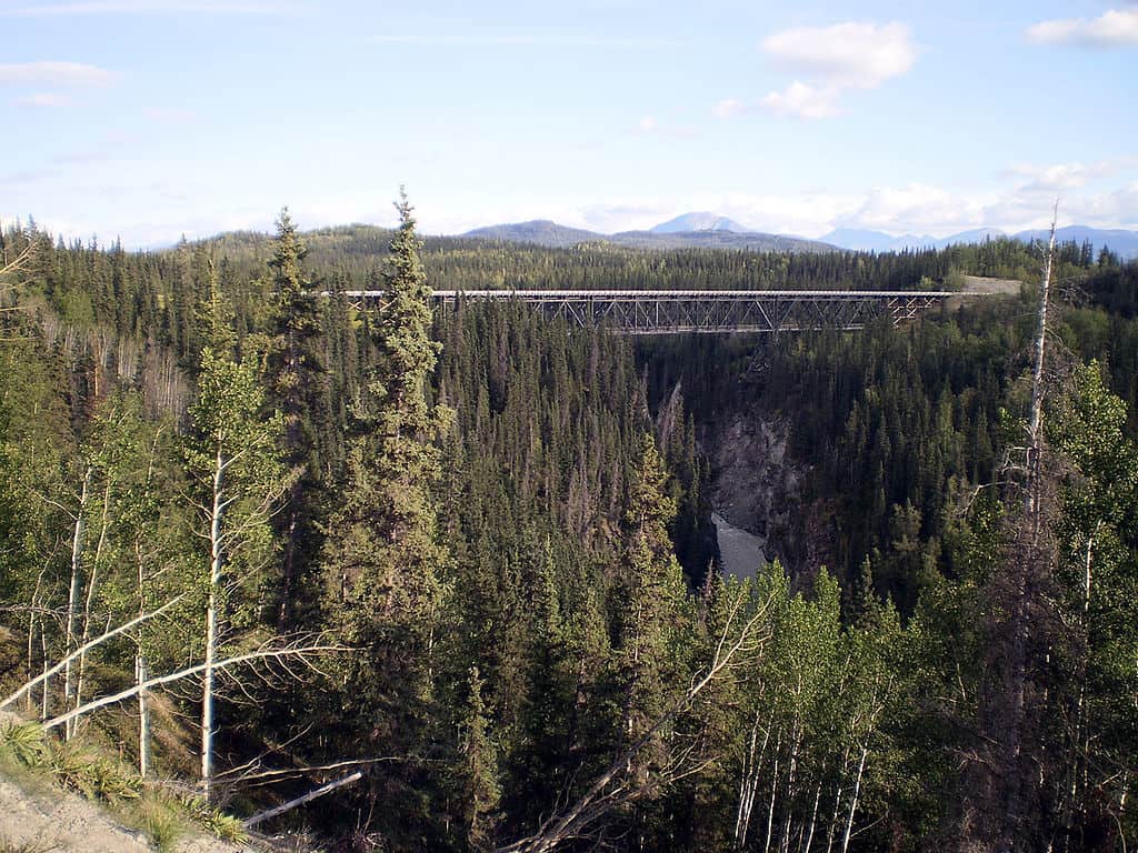 The Kuskaluna River Bridge  stands amid Alaskan woodlands. 