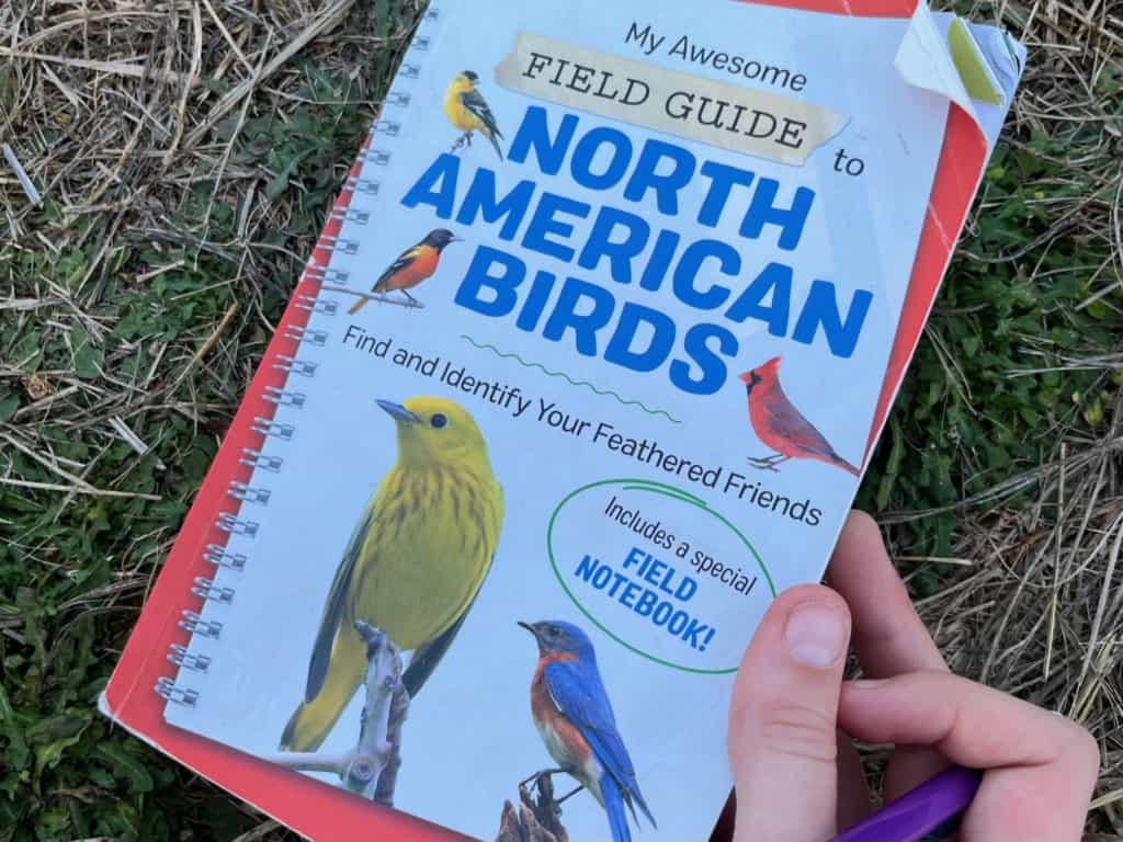 Dog-eared copy of the North American birds field guide. camping gifts for kids