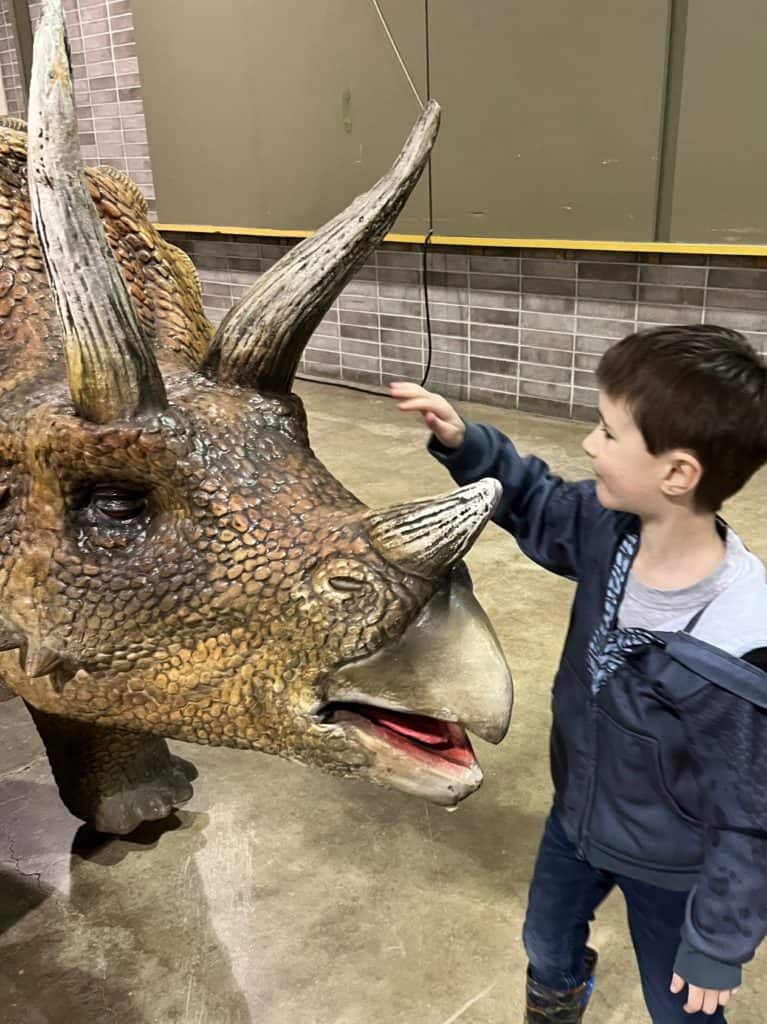 Boy petting the animatronic triceratops. dinosaur gifts for a 5 year old