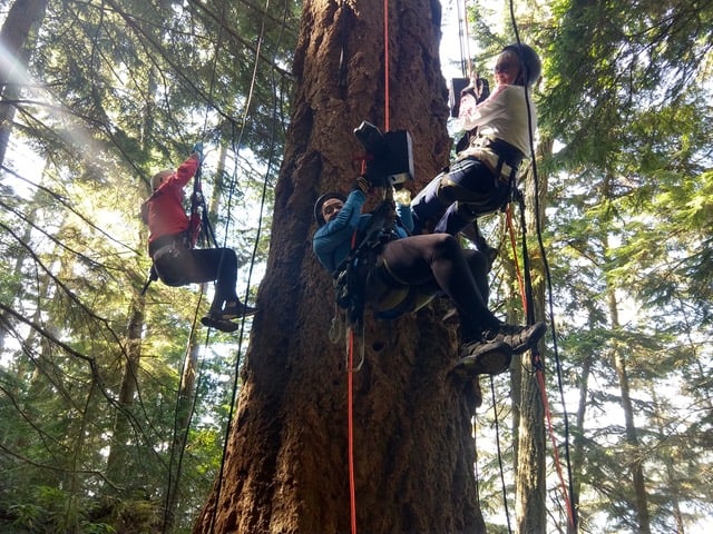 Power ascenders move two elderly women up their ropes so that they can enjoy tree climbing.