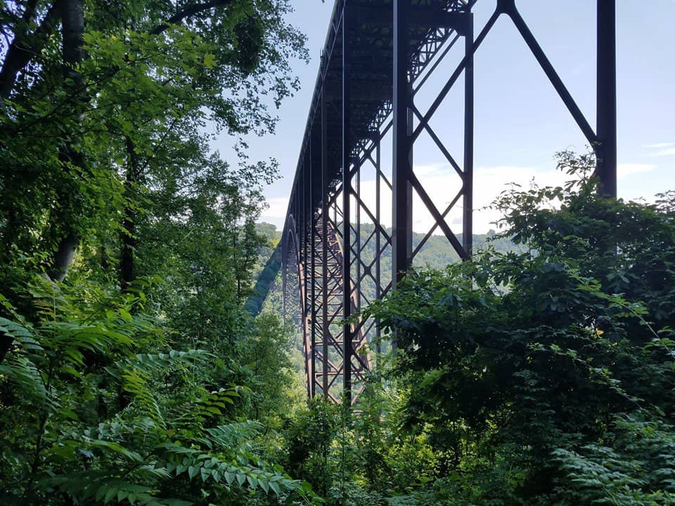The understructure of the New River Gorge Bridge towers above the trees at New River Gorge National Park.