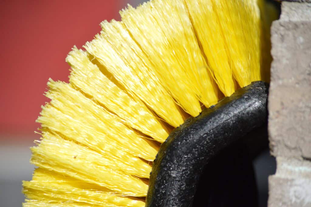 Yellow broom bristles
