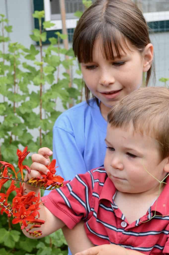 Girl showing toddler boy a red flower. good sibling relationships.