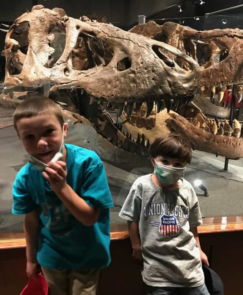 Our two sons smile in front of enormous T Rex skulls at the Siebel Dinosaur Complex at the Museum of Rockies. Museum of the Rockies is the best of the museums in Bozeman.