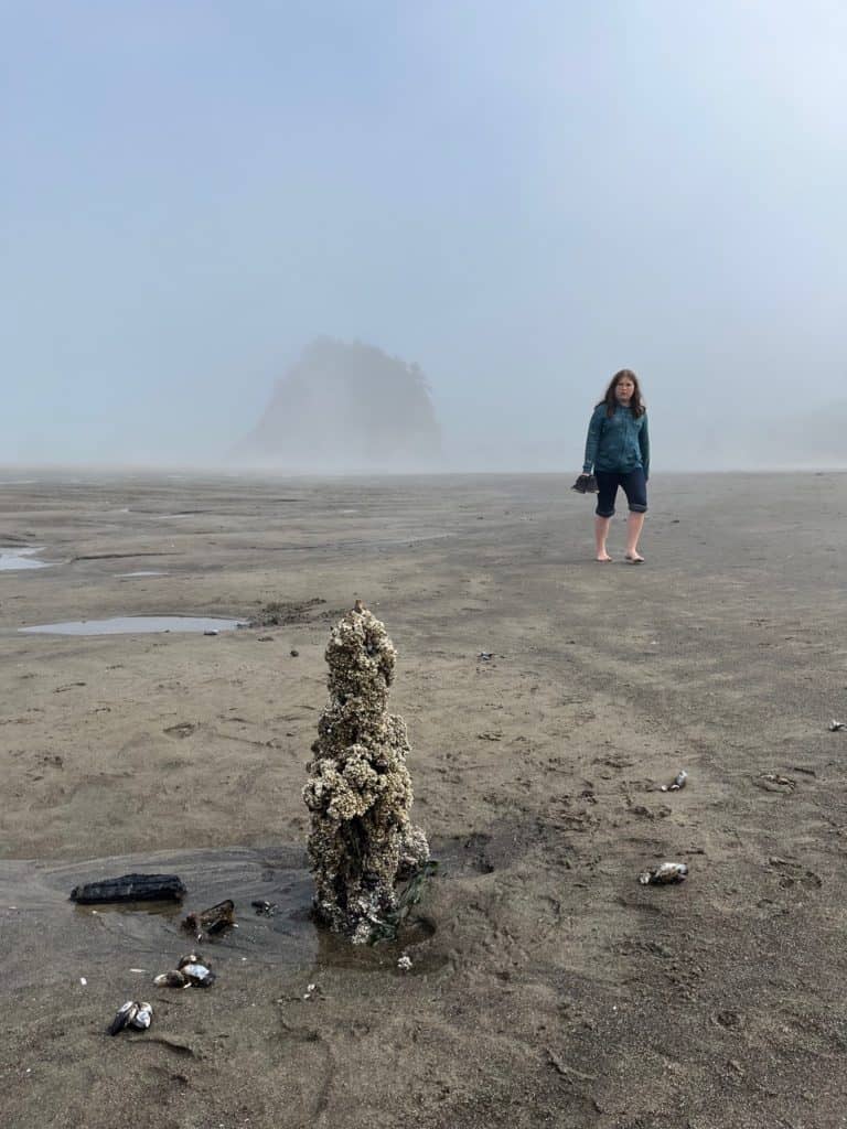 Our daughter looks curiously a the barnacled tree stump sticking out of Neskowin Beach. The Ghost Forest is one of the 47 best things to do on the Oregon Coast with kids.