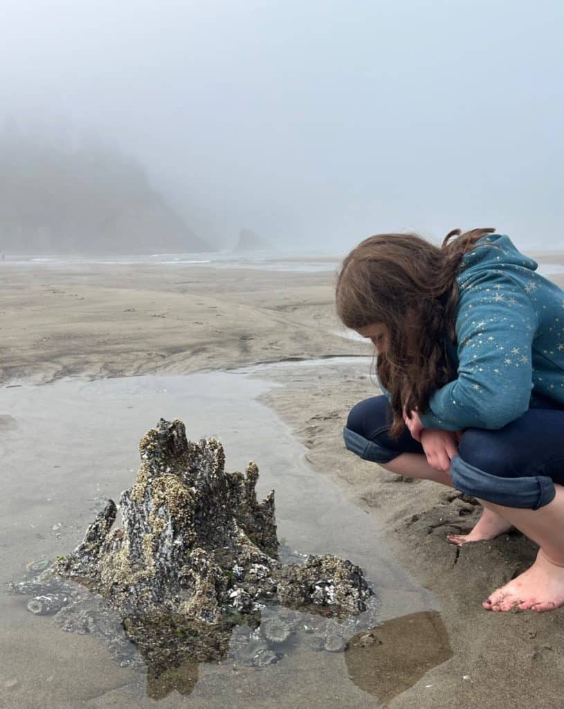 Our daughter explores a tree-turned-tidepool at the Neskowin Ghost Forest. The Ghost Forest is one of the best things to do on the Oregon Coast with kids.