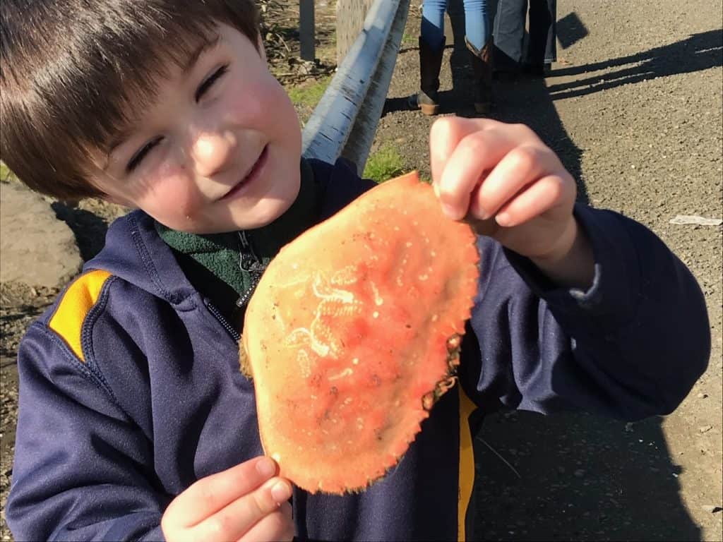 Smiling boy holding crab carapace.