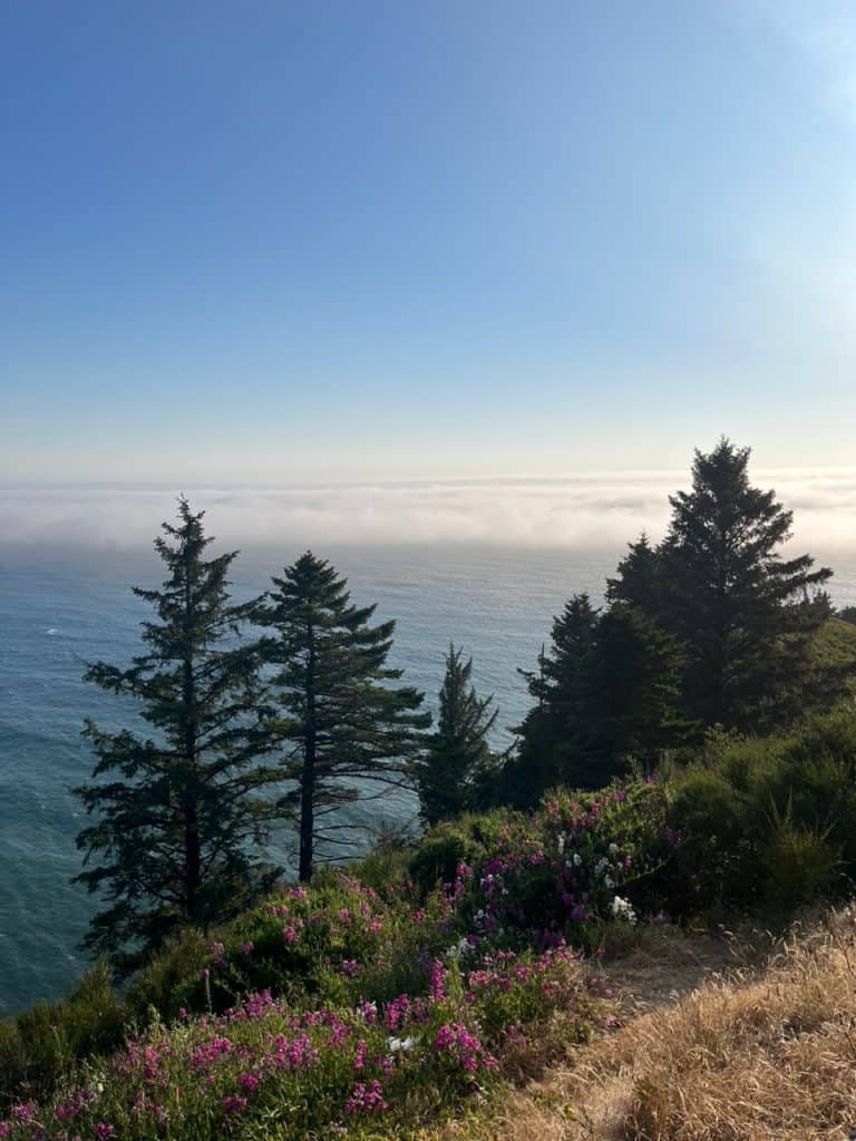 The cloud line hovers above the ocean but below the trees that grow atop the Neahkanie viewpoint. Neahkanie Viewpoint is one of the best things to do on the Oregon Coast with kids.