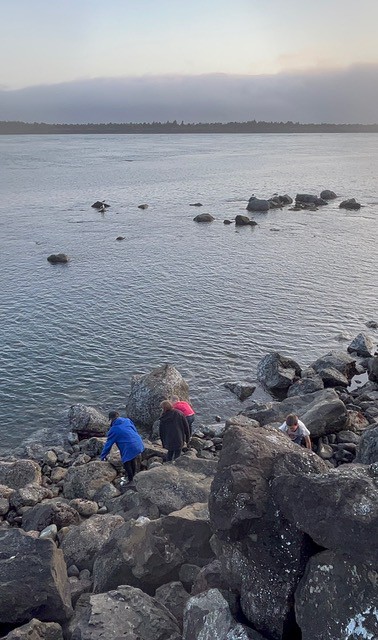 Our kids look for sea stars and other critters among the tidepools and jetti rocks near the Three Graces.