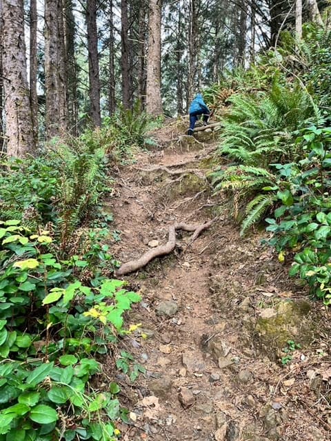 Our daughter hikes here way up a steep trail in the Samuel Boardman State Scenic Corridor near Brookings, Oregon.