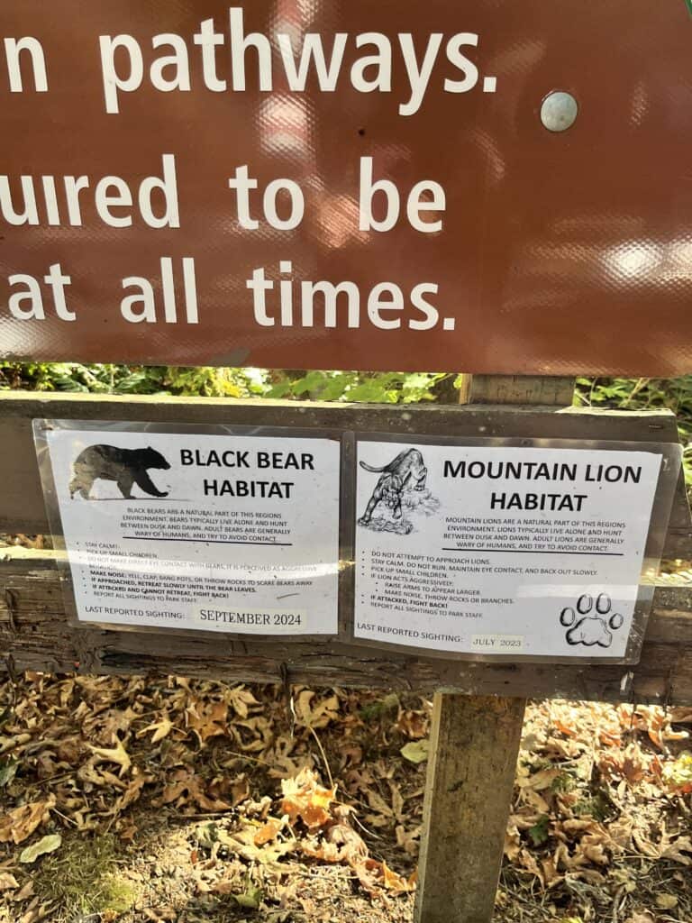 Signs at campsite about black bear and mountain lion habitat safety