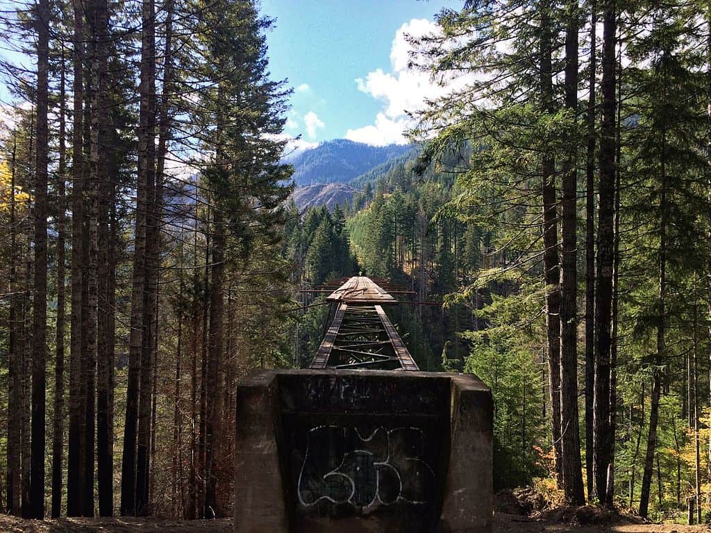 A picture of the bridge deck shows how dangerous the Vance Creek Bridge is. The first 100 feet of the bridge deck has been removed to discourage people from climbing on it. There are no guardrails on any part of the bridge.