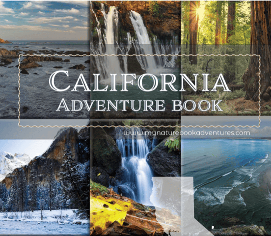 California's natural wonders make up the background for a beautiful California Adventure Book by My Nature Book Adventures.