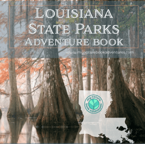 The beautiful cover of the Louisiana State Parks Adventure Book.