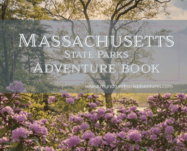 Beautiful flowers decorate the Massachusetts State Park Adventure Book.