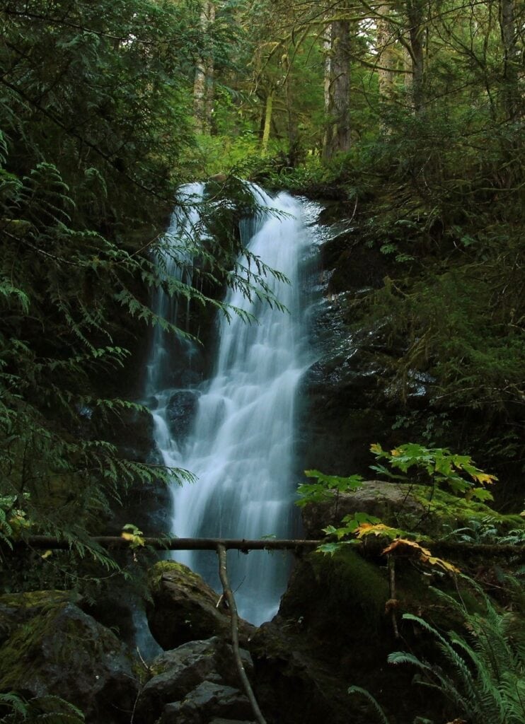 A waterfall cascades in Olympic National Park. Olympic National Park is one of the best national parks to visit in November and December.