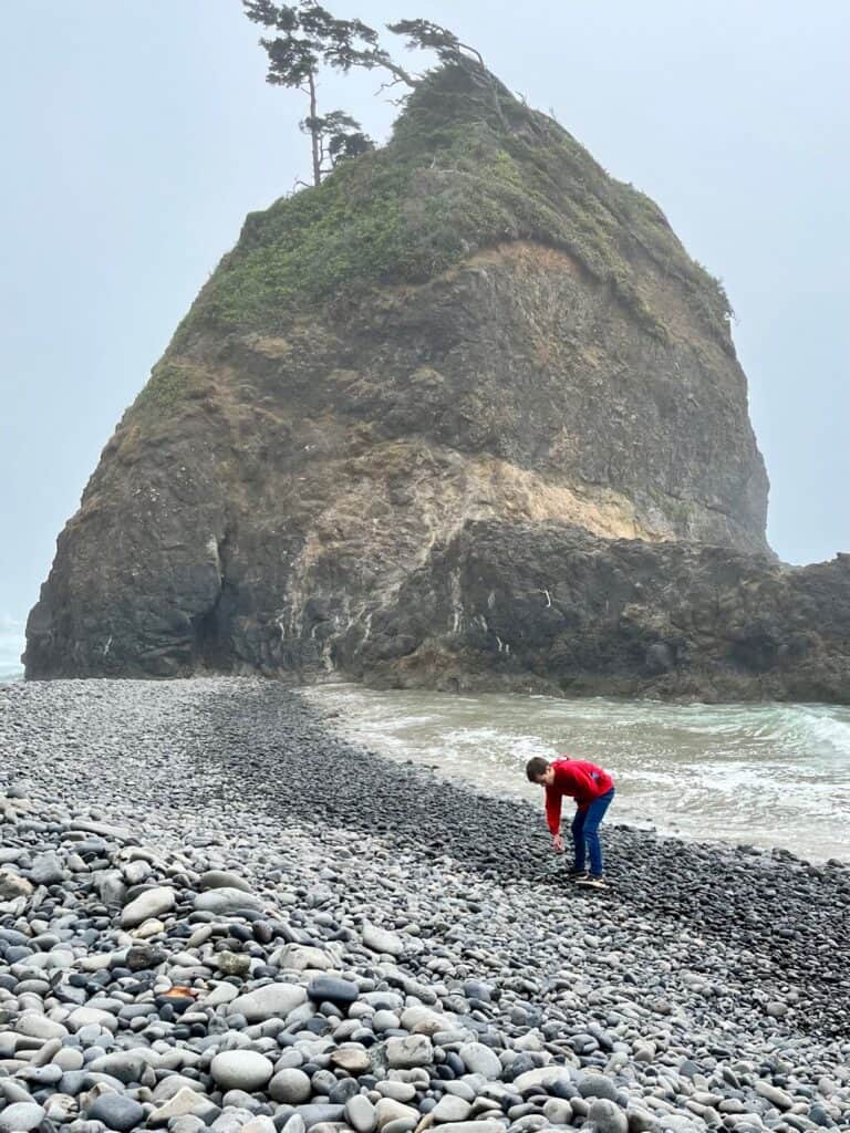 Our son in a red hoodie rockhounding at Short Beach. 