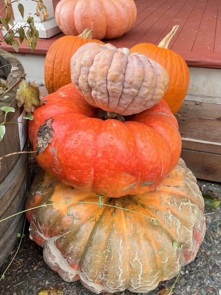 Stacked pumpkins. Pumpkin Olympics can be great Halloween activities for teens.
