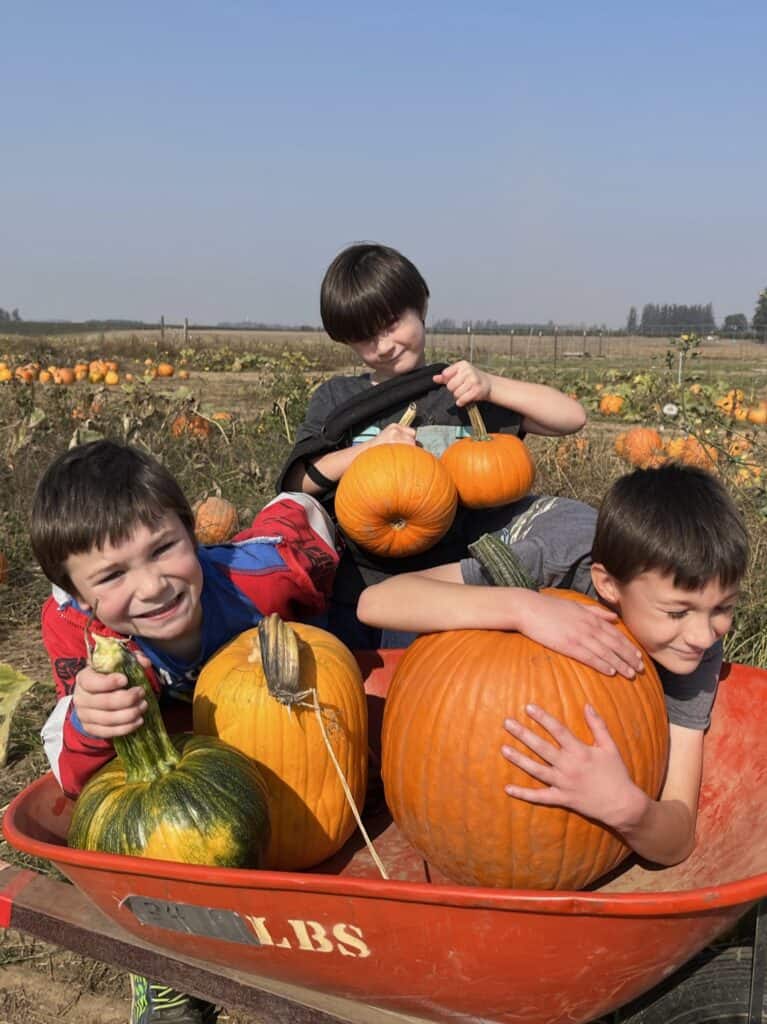 Our boys with their pumpkins in a wheelbarrow at a pumpkin patch in Salem Oregon.