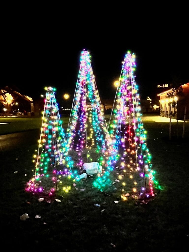 Christmas tree lights at Salem Riverfront park. Experiences make great Christmas gifts.