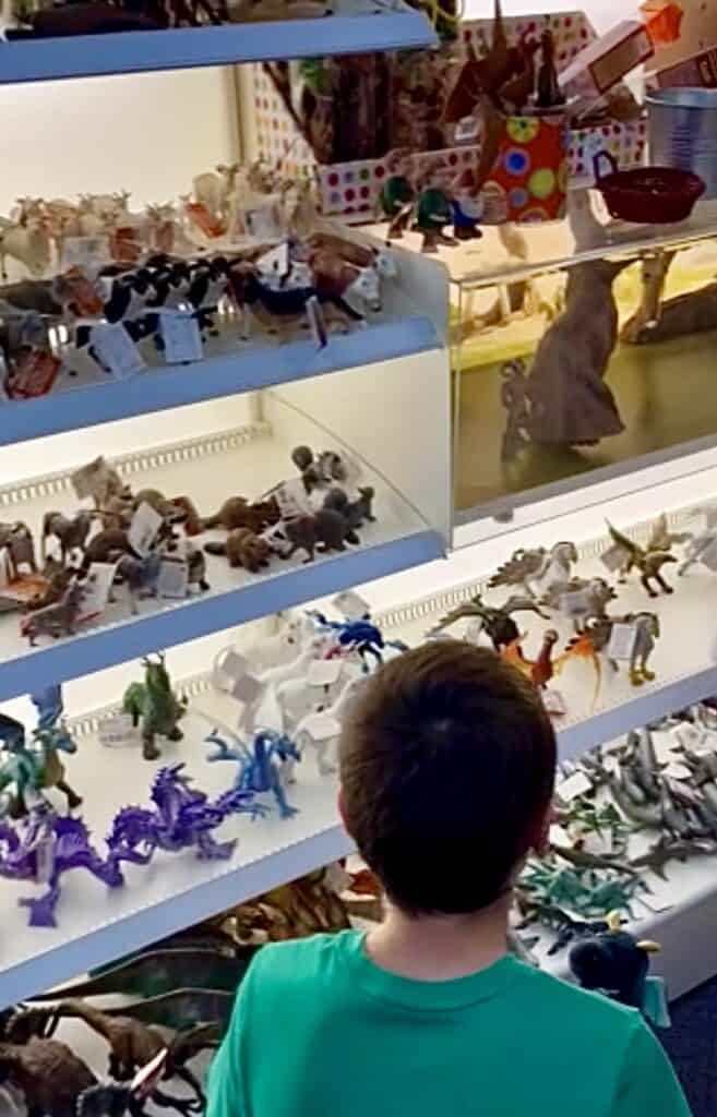 Boy looking at Schleich toy display.