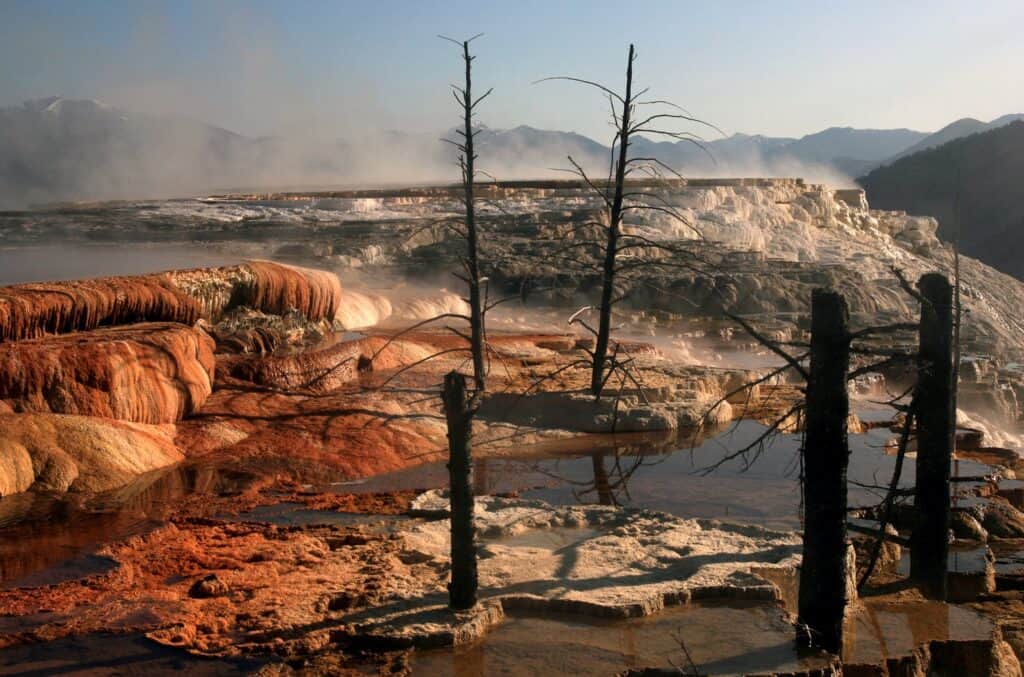 Steam and trees rise from Mammoth Hot Springs in Yellowstone National Park. Yellowstone National Park is one of the best national parks to visit in November and December.