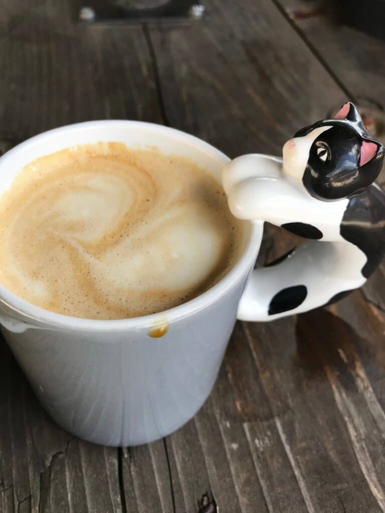 Cup of coffee with a black and white cat handle at Gear Up. Best Coffee in Silverton Oregon.