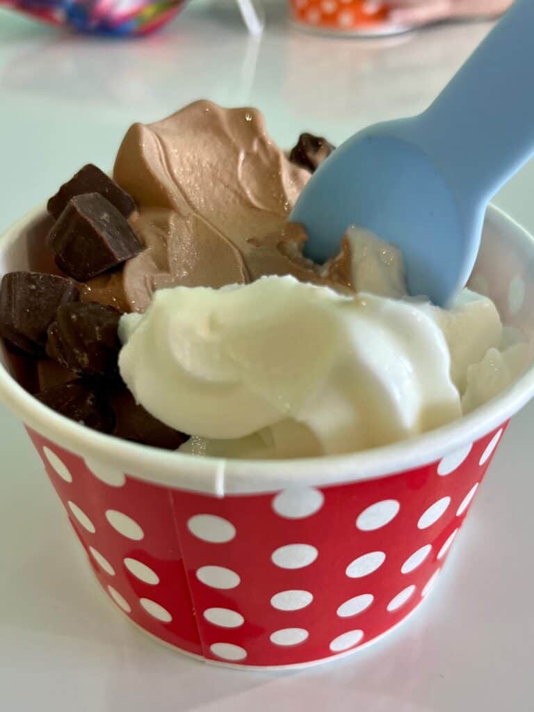 Chocolate and Vanilla frozen yogurt topped with chocolate chunks