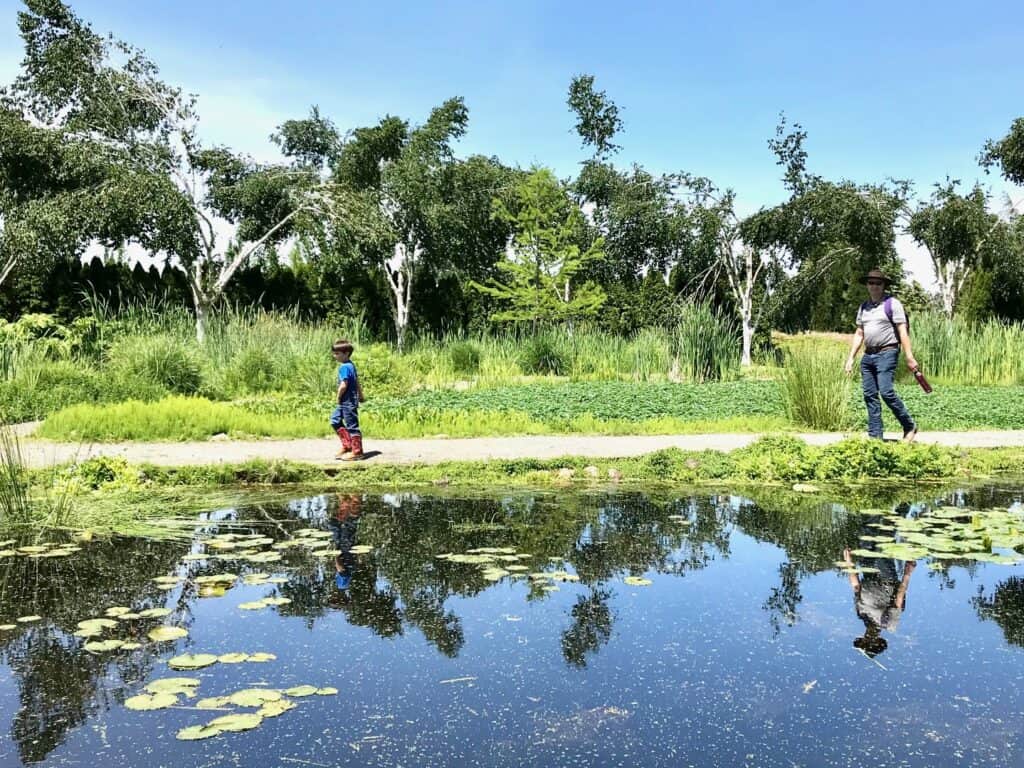 My husband follows our son along the pond in the water garden. The Oregon Garden is one of the top kid-friendly activities in Silverton Oregon.