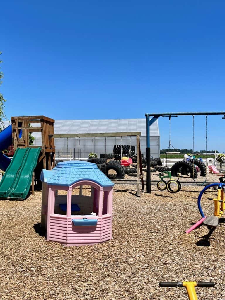 Play area with swings, slide, playhouse and other equipment at Bauman Farms and Garden in Gervais.