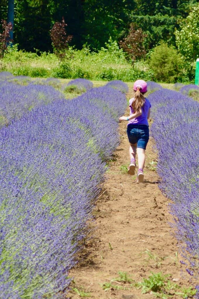 Our daughter running through a field of lavender.