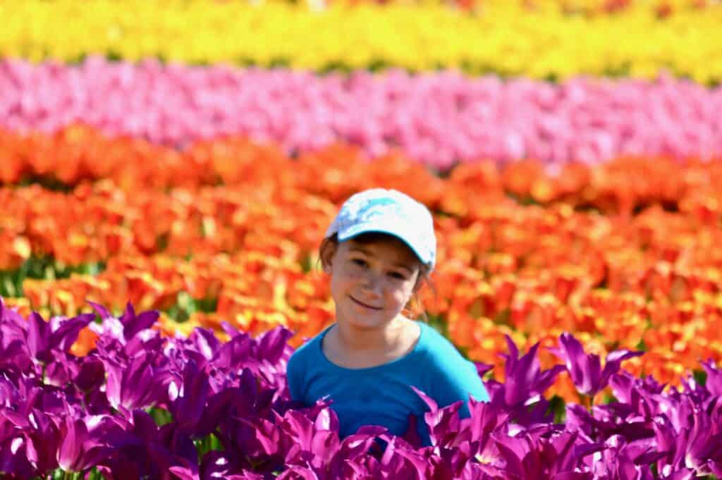 Our daughter in the middle of rows of colorful tulips. Oregon flower festivals.