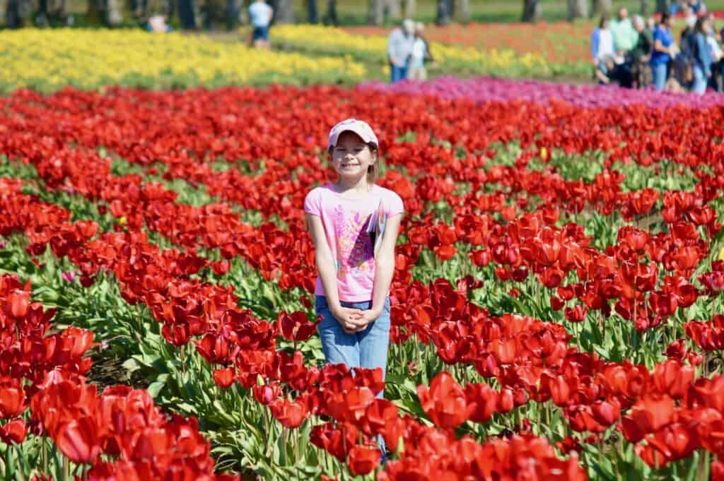 Our second daughter standing between rows of red tulips at the Wooden Shoe Tulip festival.