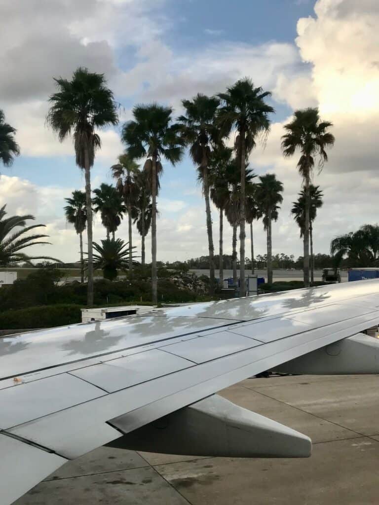 View of palm trees from the window of the plane, seen over the airplane wing.