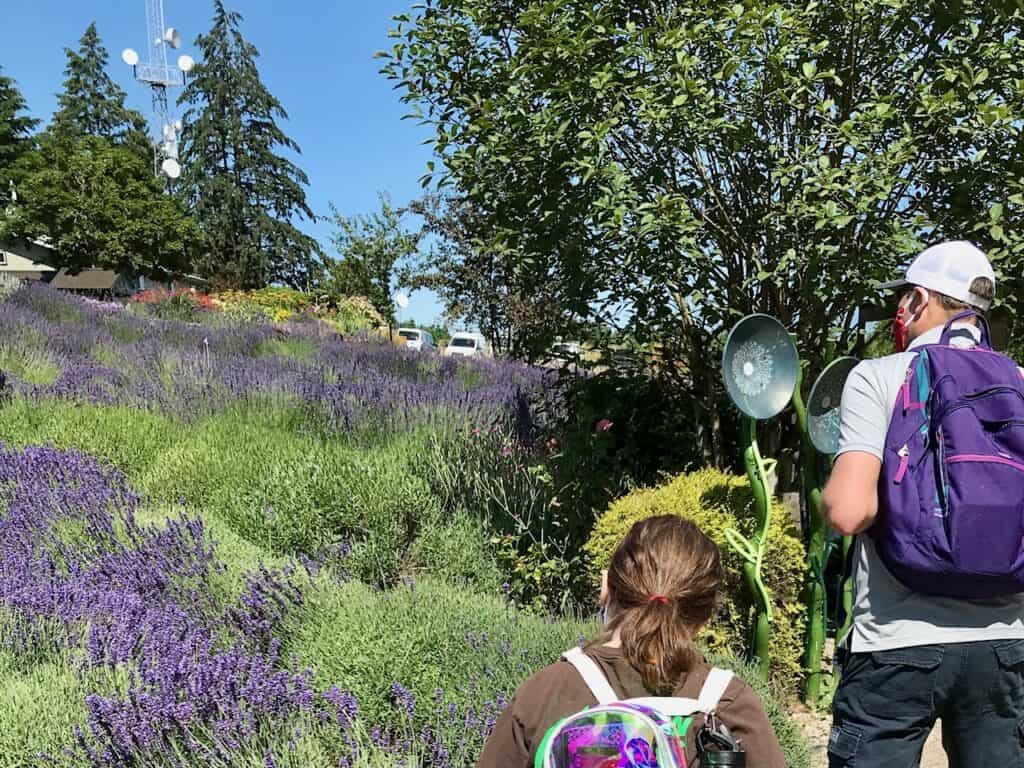 Brian and one of our kids walking past the Helvetia Lavender fields.