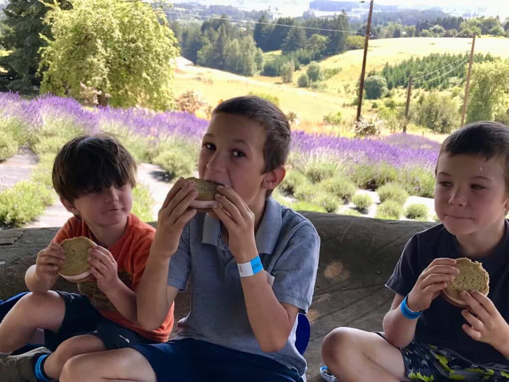 Our three boys enjoying lavender cookie ice cream sandwiches with lavender fields behind them.