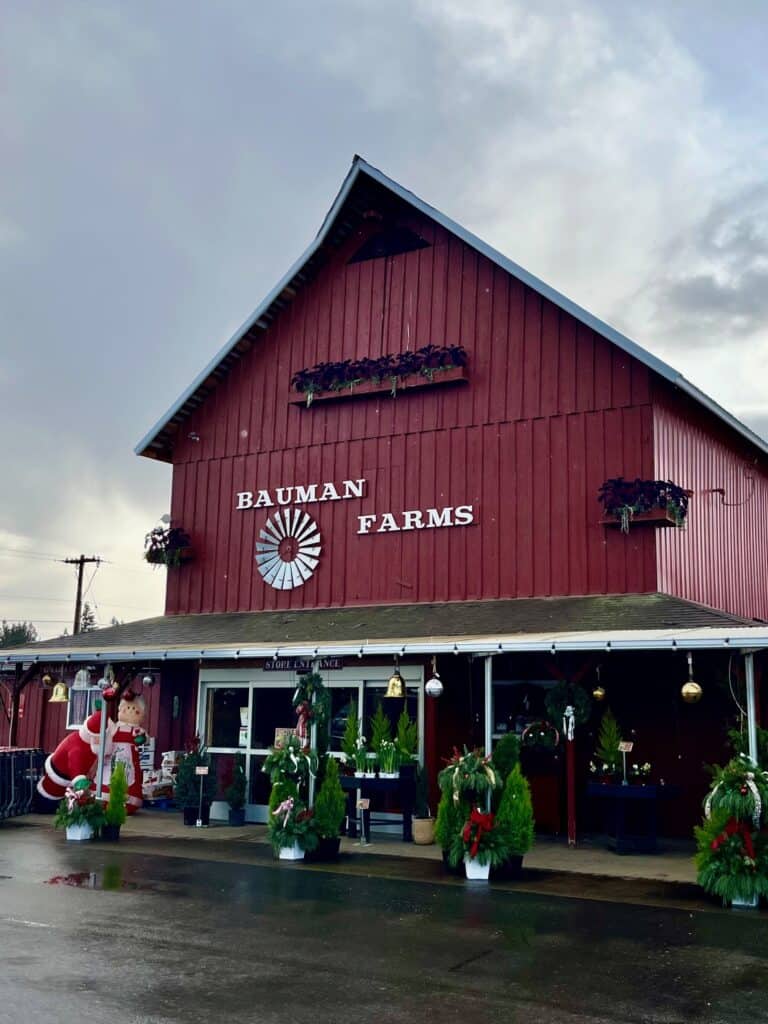 Bauman Farms front entrance with Christmas trees and inflatable Santa and Mrs. Claus in front.