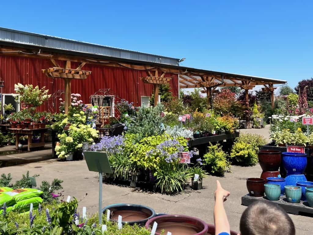 Bauman Farms Garden plants for sale.