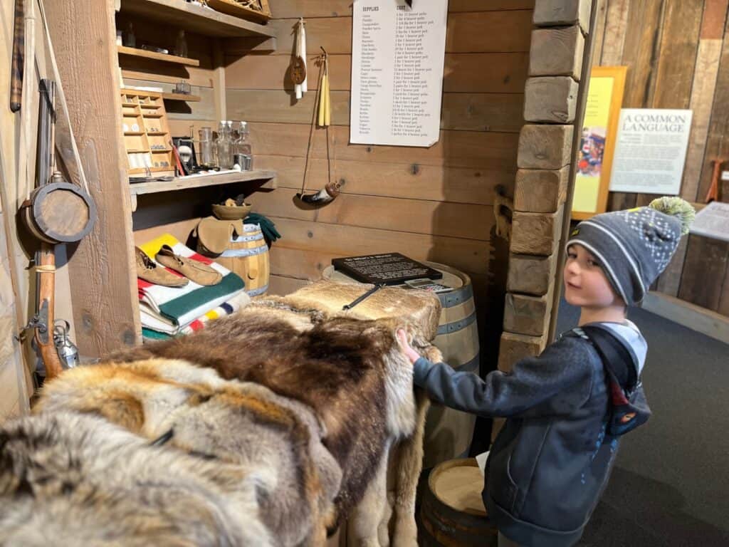 Our son explores the animal pelts on display at Champoeg Visitor Center.