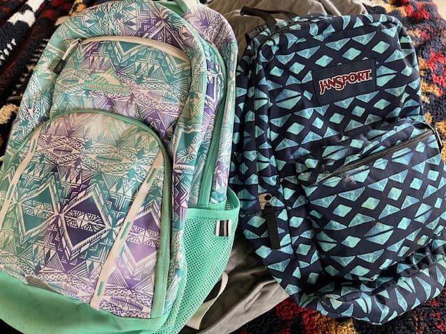 Two standard backpacks.