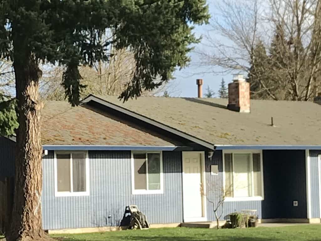 Blue house with white trim and pine tree next to it.