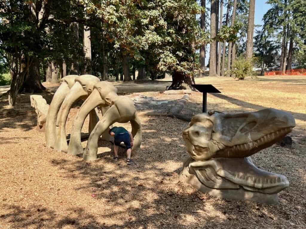 Our son climbs underneath the giant dinosaur play structure at Legion Park.