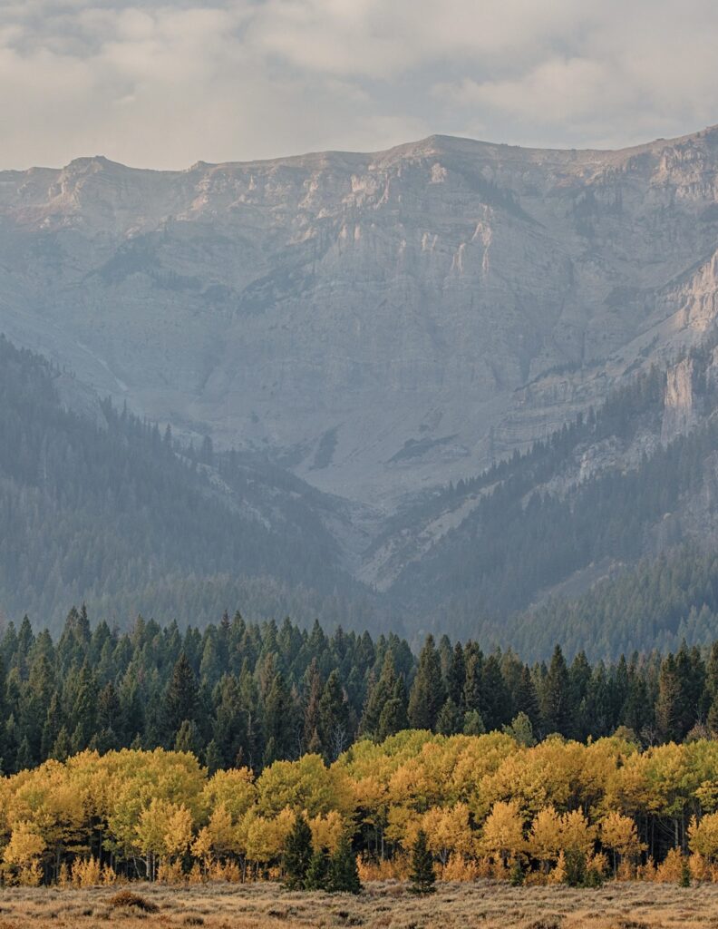 A majestic mountain ridge towers over green pines and golden alders.