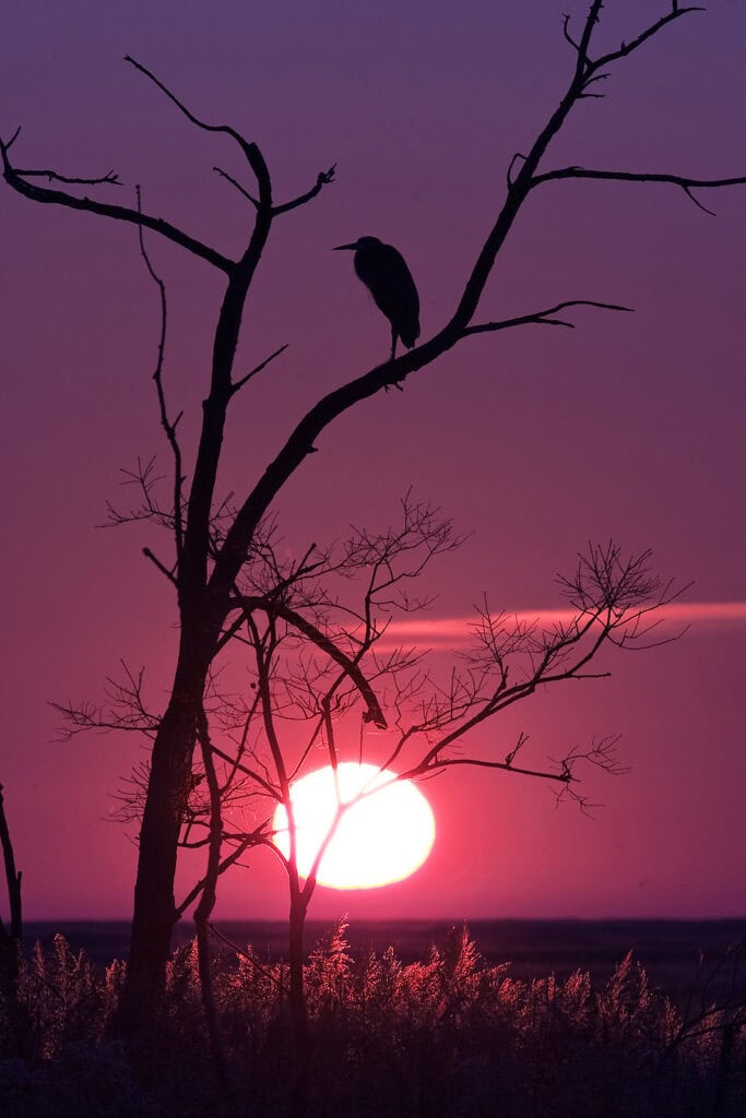 A setting sun in a purple sky in Delaware.