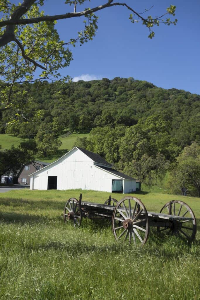A historic farm stands before a wooded hillside at Eugene O'Neill National Historic Site.