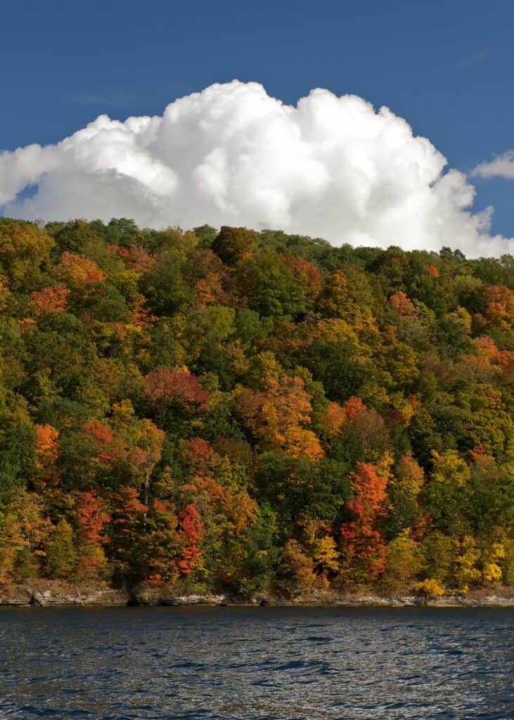Autumn colors gild a hillside along Seneca Lake. Seneca Lake is a stop along the North Country National Scenic Trail.