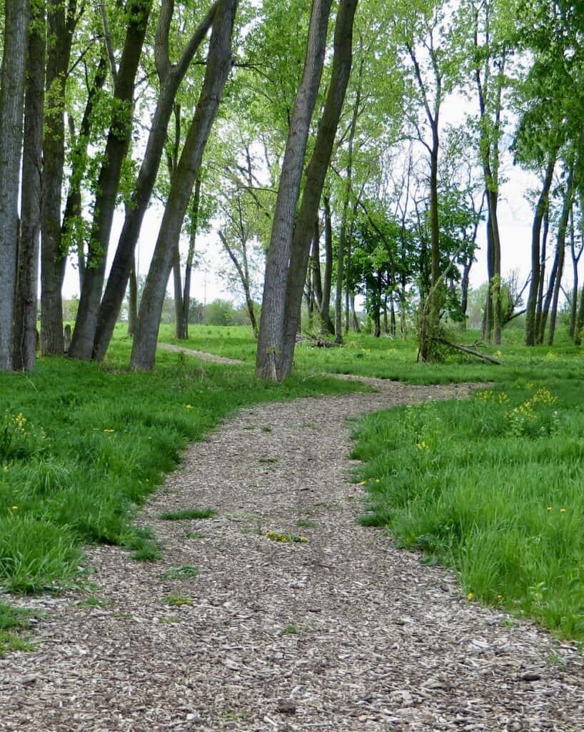 A path leads through a wooded glade at River Raisin National Battlefield Park.